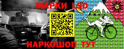 СК Обь