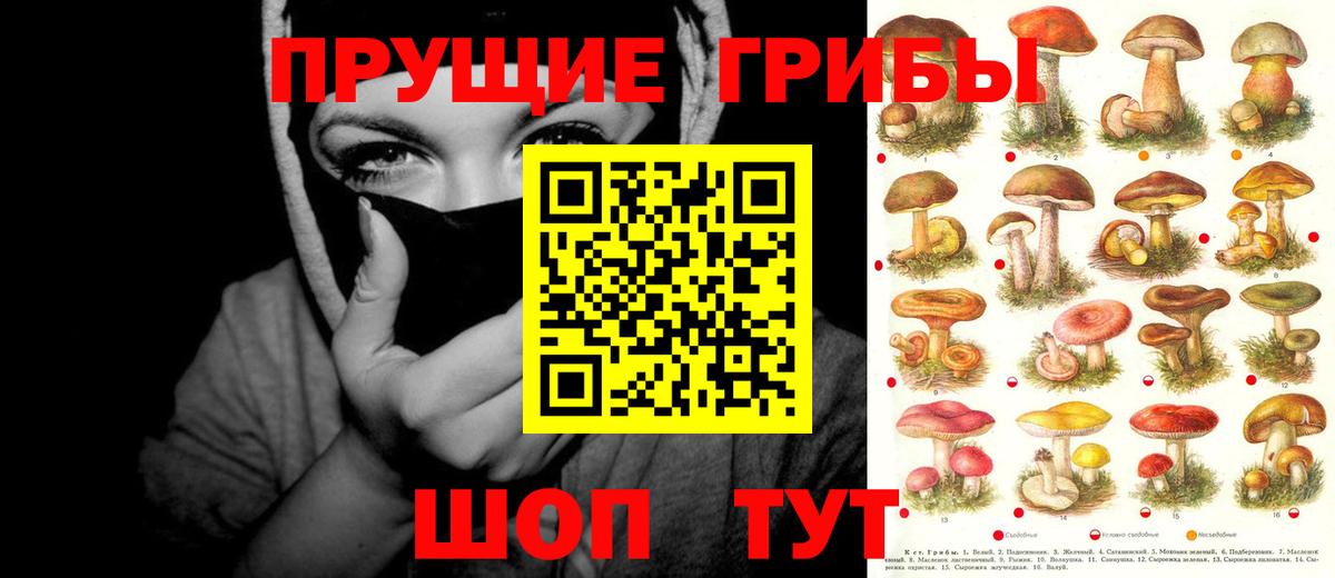 Татарск  Псилоцибиновые грибы мицелий  Вход с VPN 